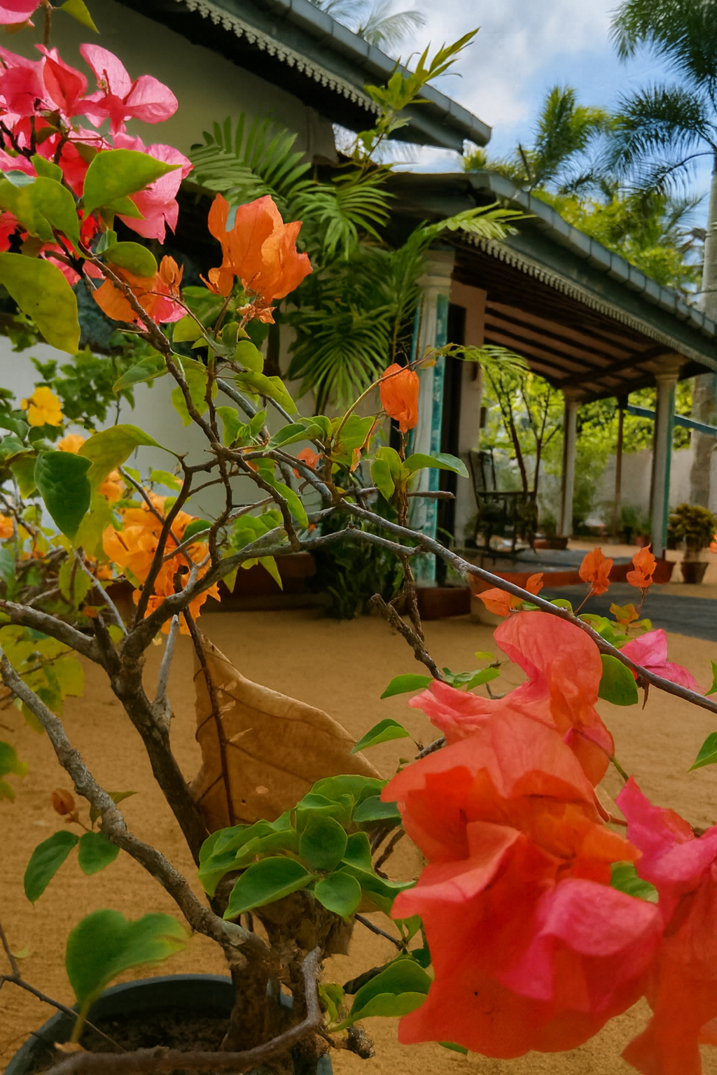 pahan villa (4)